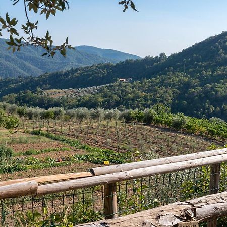 Poggio Al Mandorlo Villa Greve in Chianti Exterior photo